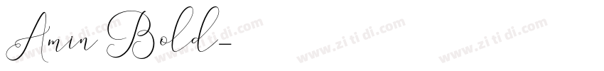 Amin Bold字体转换